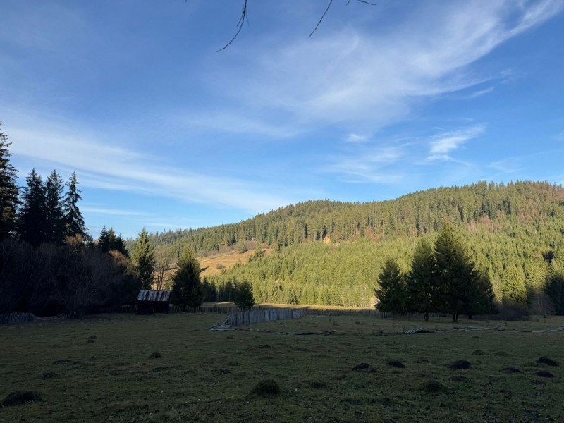 Vanzare 6850 mp pasune langa Manastirea Doroteia - Frasin /Plutonita