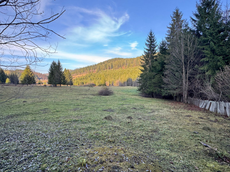 Vanzare 6850 mp pasune langa Manastirea Doroteia - Frasin /Plutonita