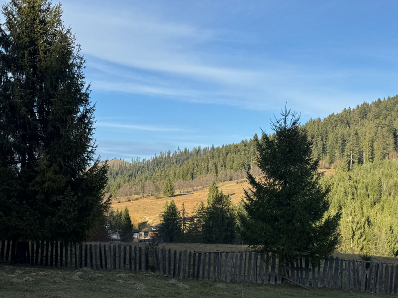 Vanzare 6850 mp pasune langa Manastirea Doroteia - Frasin /Plutonita