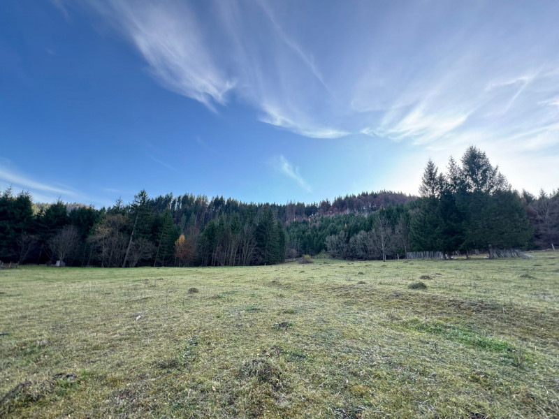 Vanzare 6850 mp pasune langa Manastirea Doroteia - Frasin /Plutonita