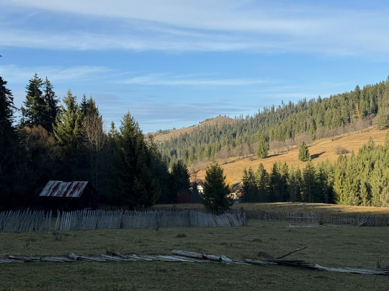 Vanzare 6850 mp pasune langa Manastirea Doroteia - Frasin /Plutonita