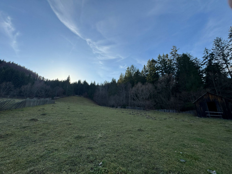 Vanzare 6850 mp pasune langa Manastirea Doroteia - Frasin /Plutonita