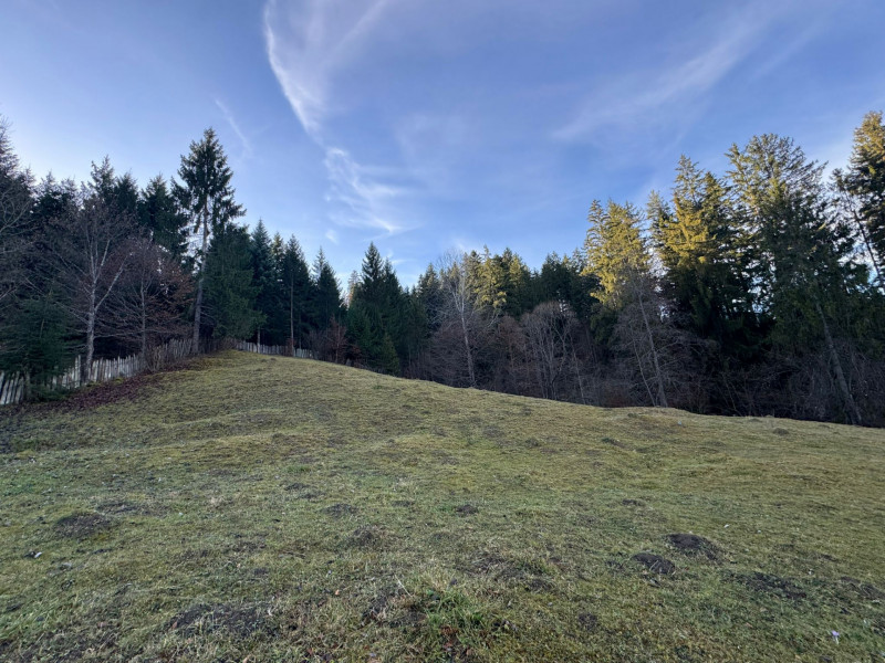 Vanzare 6850 mp pasune langa Manastirea Doroteia - Frasin /Plutonita