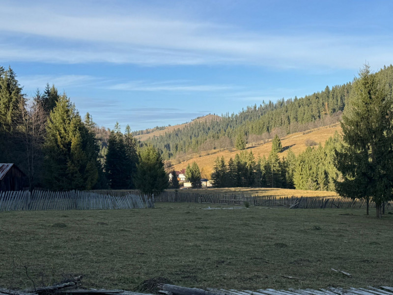 Vanzare 6850 mp pasune langa Manastirea Doroteia - Frasin /Plutonita