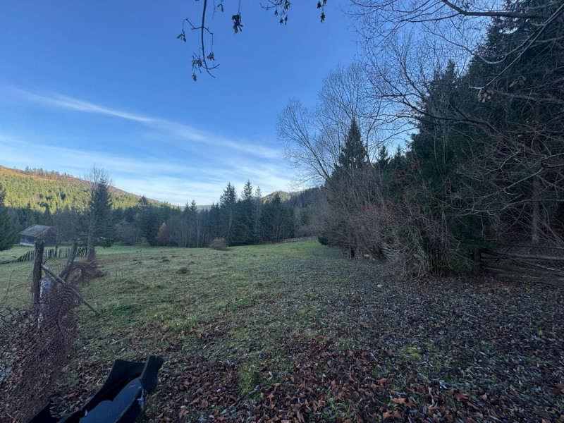 Vanzare 6850 mp pasune langa Manastirea Doroteia - Frasin /Plutonita