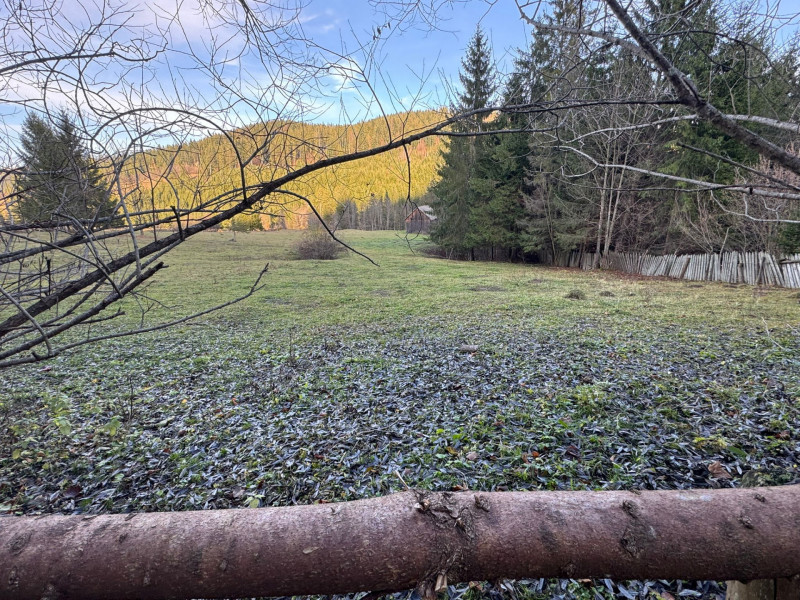 Vanzare 6850 mp pasune langa Manastirea Doroteia - Frasin /Plutonita