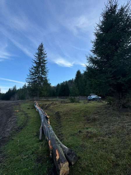 Vanzare 6850 mp pasune langa Manastirea Doroteia - Frasin /Plutonita