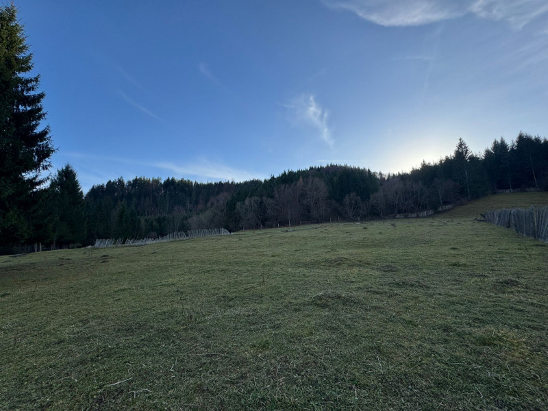Vanzare 6850 mp pasune langa Manastirea Doroteia - Frasin /Plutonita