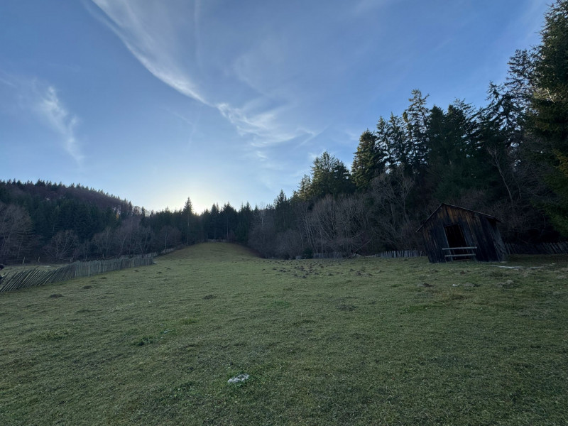 Vanzare 6850 mp pasune langa Manastirea Doroteia - Frasin /Plutonita