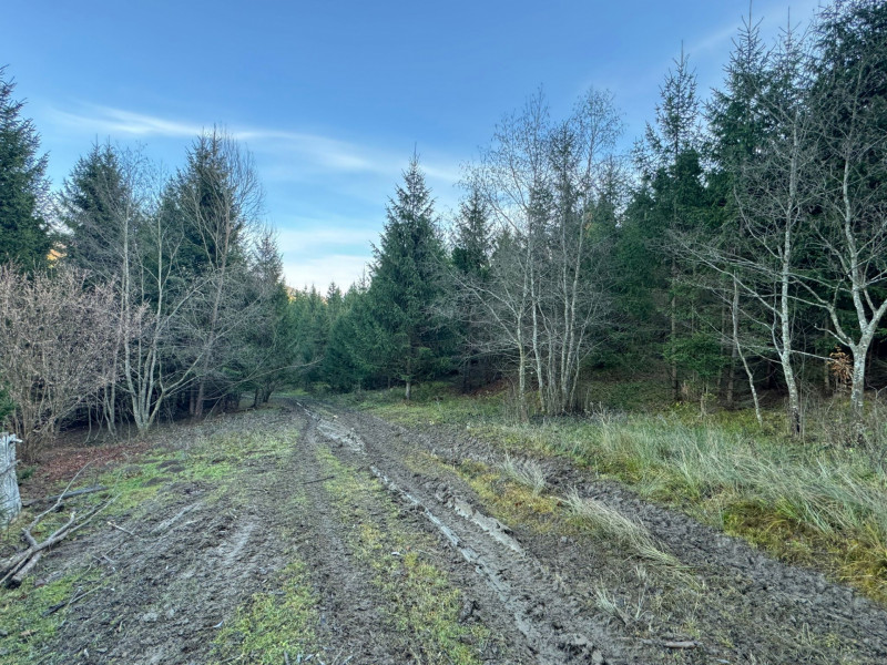 Vanzare 6850 mp pasune langa Manastirea Doroteia - Frasin /Plutonita