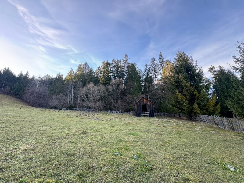 Vanzare 6850 mp pasune langa Manastirea Doroteia - Frasin /Plutonita