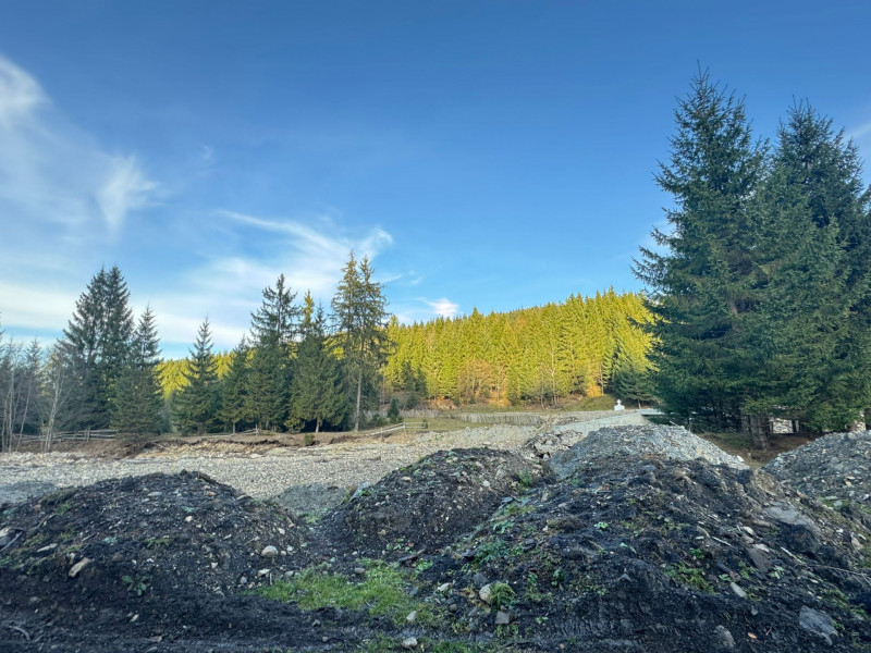 Vanzare 6850 mp pasune langa Manastirea Doroteia - Frasin /Plutonita