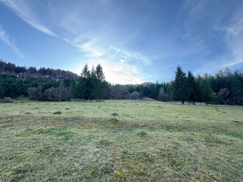 Vanzare 6850 mp pasune langa Manastirea Doroteia - Frasin /Plutonita