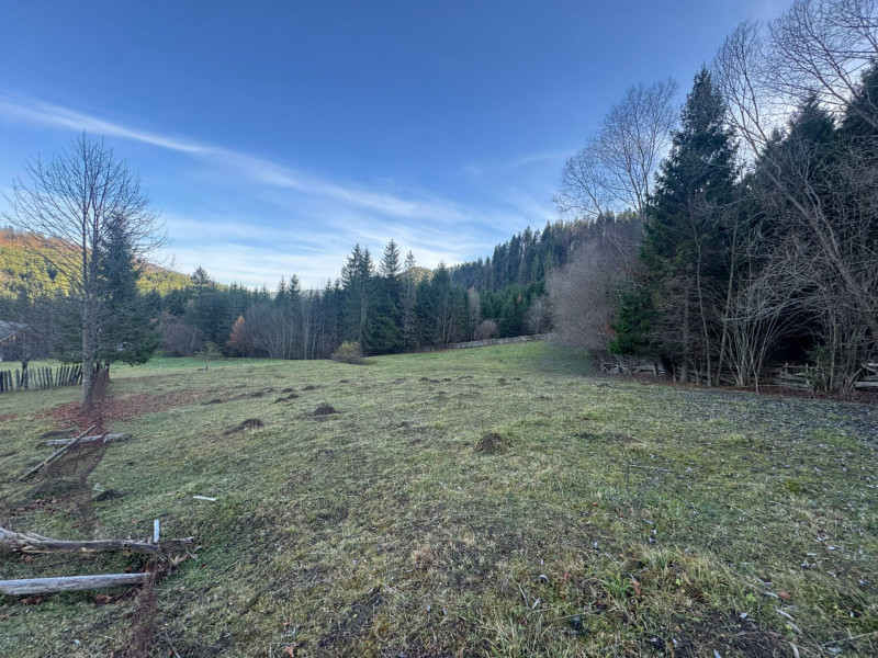 Vanzare 6850 mp pasune langa Manastirea Doroteia - Frasin /Plutonita