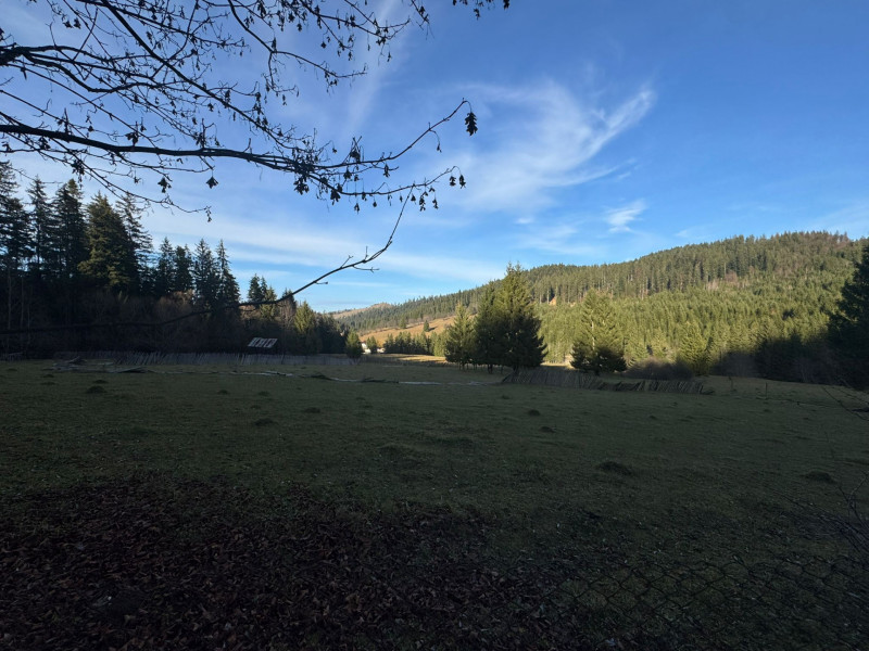 Vanzare 6850 mp pasune langa Manastirea Doroteia - Frasin /Plutonita