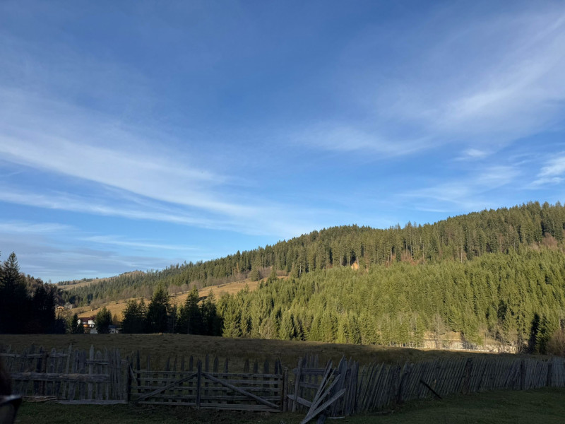 Vanzare 6850 mp pasune langa Manastirea Doroteia - Frasin /Plutonita