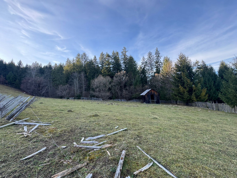 Vanzare 6850 mp pasune langa Manastirea Doroteia - Frasin /Plutonita