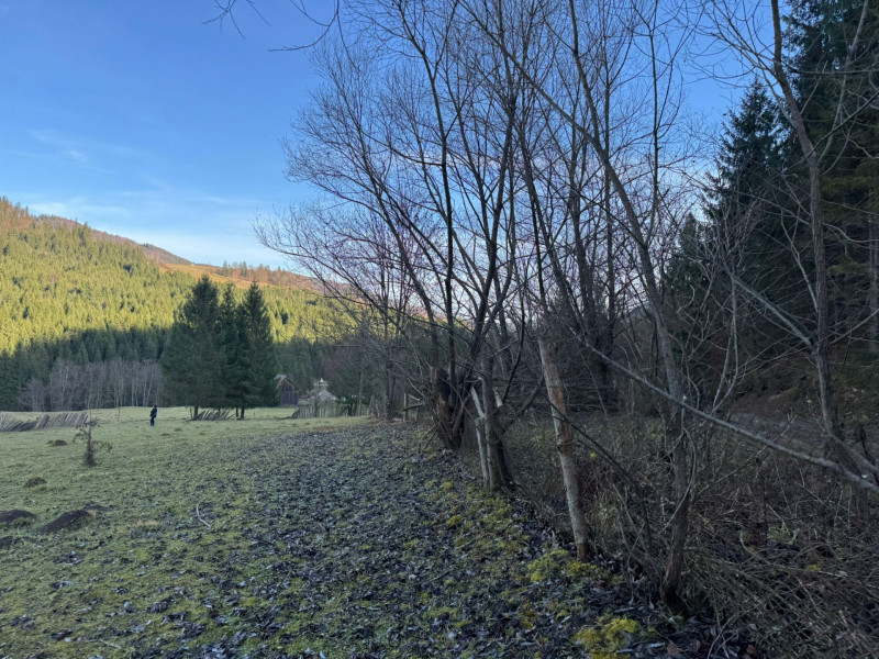 Vanzare 6850 mp pasune langa Manastirea Doroteia - Frasin /Plutonita