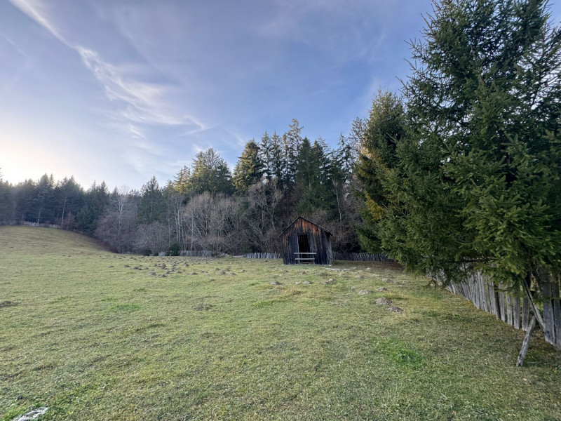 Vanzare 6850 mp pasune langa Manastirea Doroteia - Frasin /Plutonita