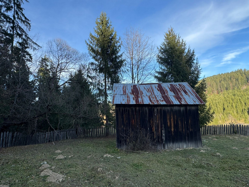 Vanzare 6850 mp pasune langa Manastirea Doroteia - Frasin /Plutonita