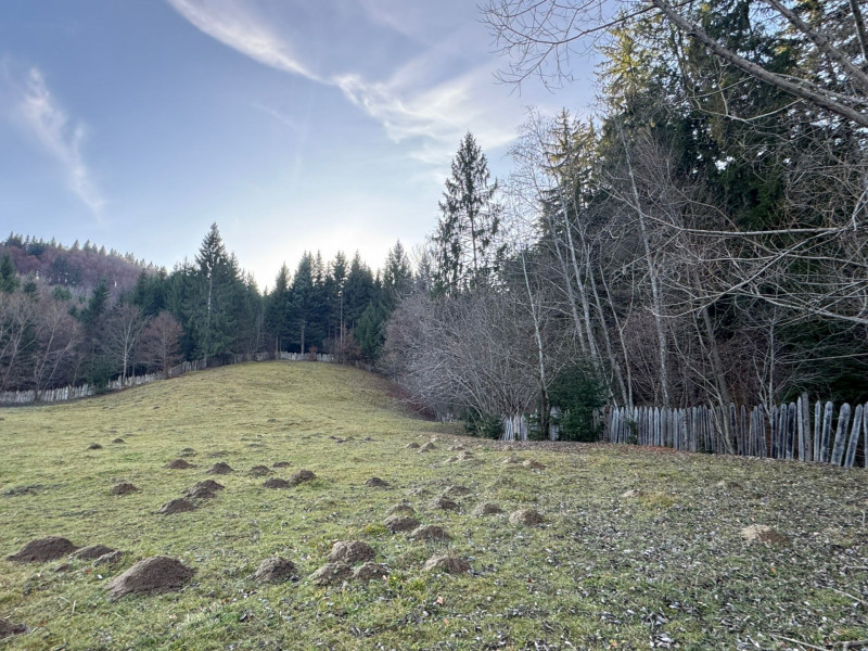 Vanzare 6850 mp pasune langa Manastirea Doroteia - Frasin /Plutonita