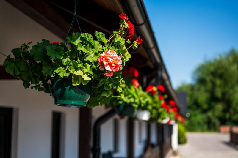 Vanzare - investitie la cheie - pensiune Voronet 8 camere 2023 - totul nou!