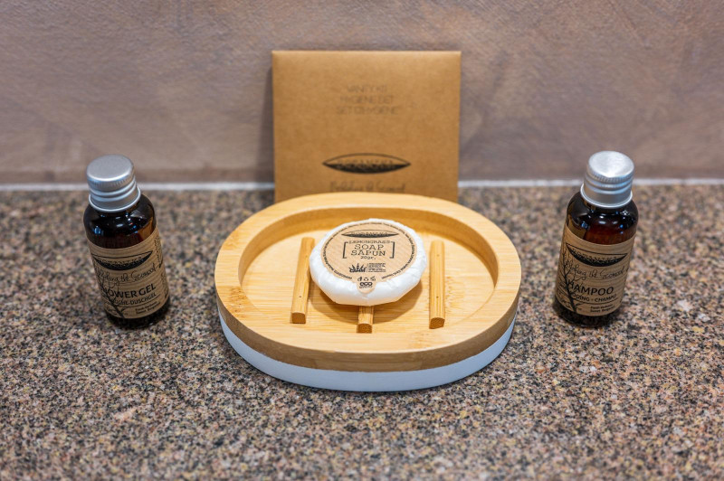 Vanzare - investitie la cheie - pensiune Voronet 8 camere 2023 - totul nou!