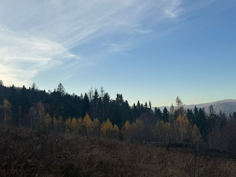 Vanzare 5,3 ha pasune deasupra Voronetului Suceava - Proiect Turistic