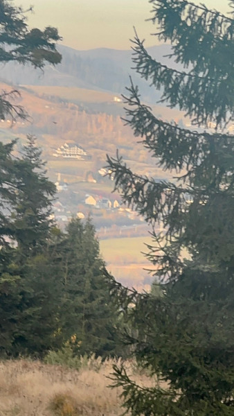 Vanzare 5,3 ha pasune deasupra Voronetului Suceava - Proiect Turistic