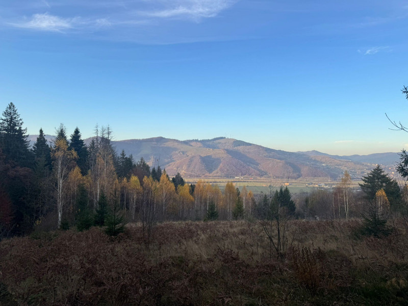 Vanzare 5,3 ha pasune deasupra Voronetului Suceava - Proiect Turistic