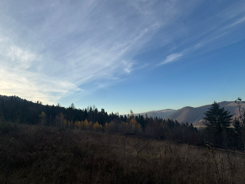 Vanzare 5,3 ha pasune deasupra Voronetului Suceava - Proiect Turistic