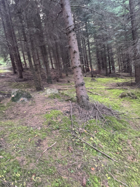 Vanzare 5,3 ha pasune deasupra Voronetului Suceava - Proiect Turistic