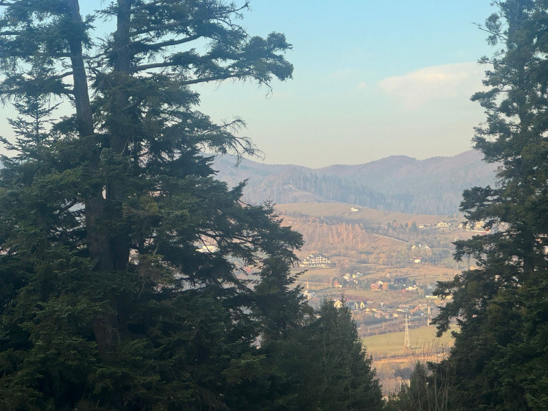 Vanzare 5,3 ha pasune deasupra Voronetului Suceava - Proiect Turistic