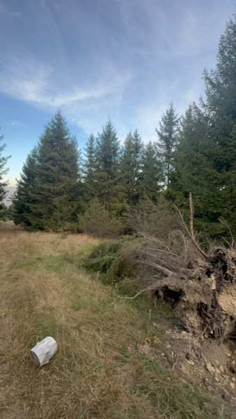 Vanzare 5,3 ha pasune deasupra Voronetului Suceava - Proiect Turistic