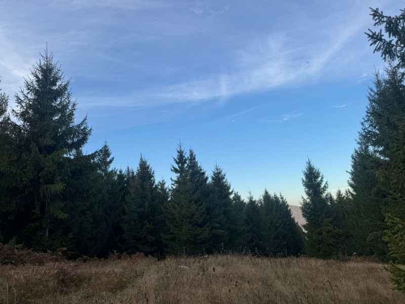 Vanzare 5,3 ha pasune deasupra Voronetului Suceava - Proiect Turistic