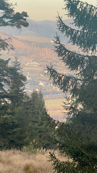 Vanzare 5,3 ha pasune deasupra Voronetului Suceava - Proiect Turistic