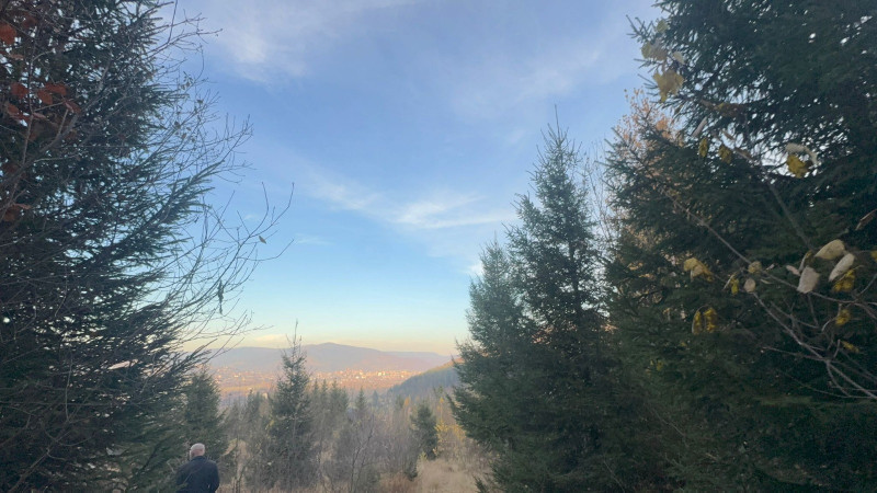 Vanzare 5,3 ha pasune deasupra Voronetului Suceava - Proiect Turistic