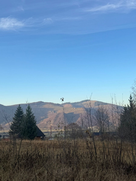 Vanzare 5,3 ha pasune deasupra Voronetului Suceava - Proiect Turistic