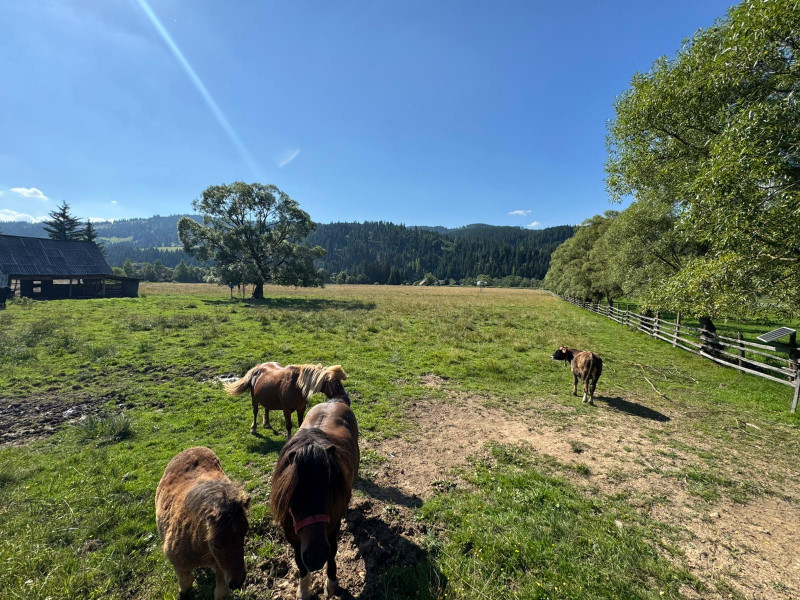 Vanzare 33400 parcelat- 18 loturi - Plaiul Sarului la sosea- microdezvoltare