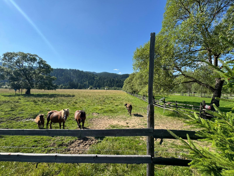 Vanzare 33400 parcelat- 18 loturi - Plaiul Sarului la sosea- microdezvoltare