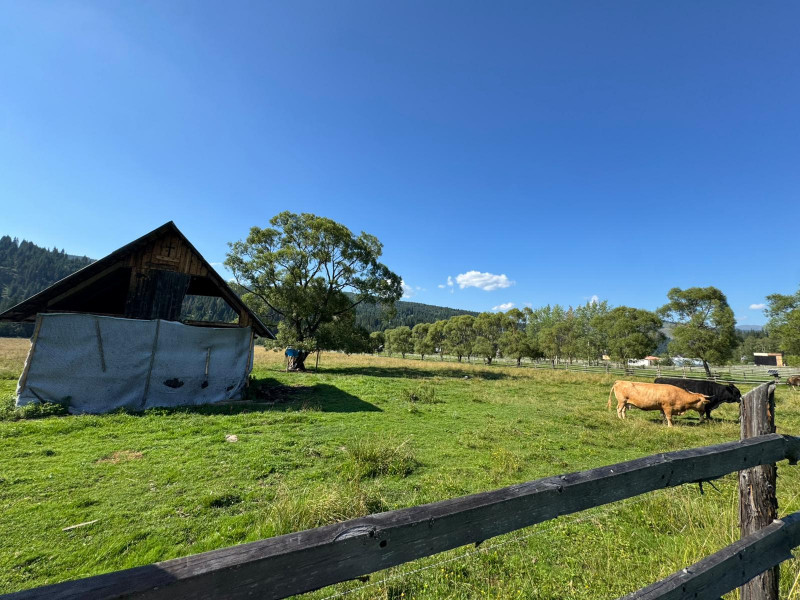 Vanzare 33400 parcelat- 18 loturi - Plaiul Sarului la sosea- microdezvoltare