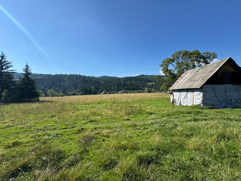Vanzare 33400 parcelat- 18 loturi - Plaiul Sarului la sosea- microdezvoltare