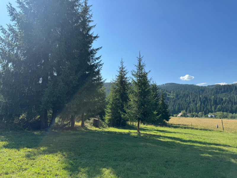 Vanzare 33400 parcelat- 18 loturi - Plaiul Sarului la sosea- microdezvoltare