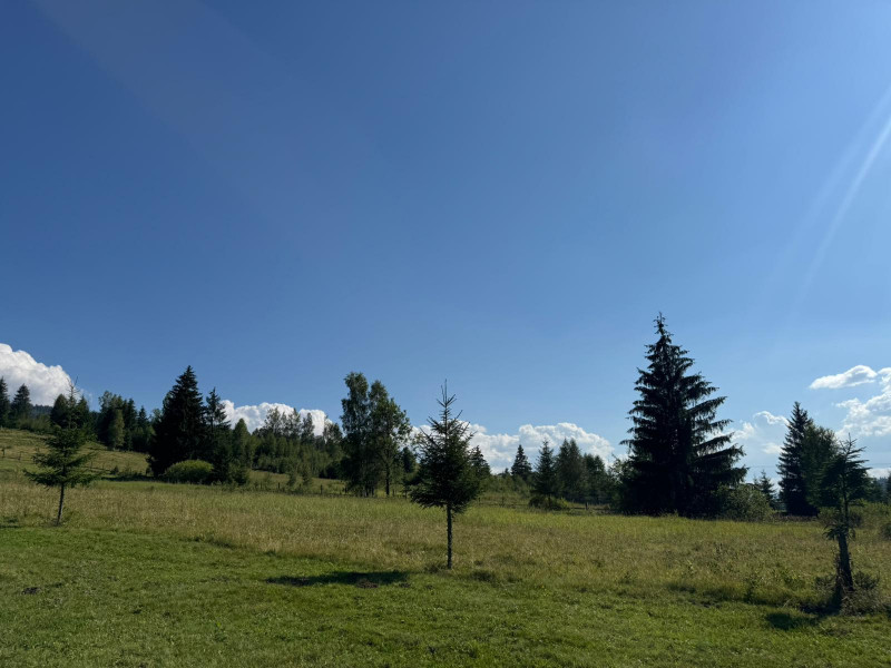 Vanzare 33400 parcelat- 18 loturi - Plaiul Sarului la sosea- microdezvoltare