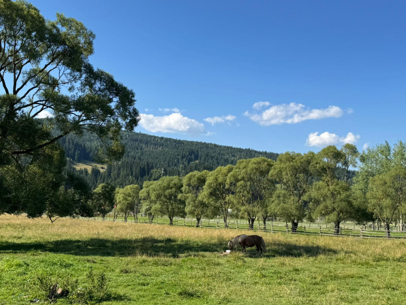 Vanzare 33400 parcelat- 18 loturi - Plaiul Sarului la sosea- microdezvoltare