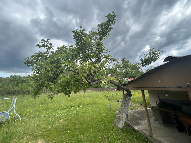 VAND  3120 MP TEREN CU CASUTA , SURDESTI BREAZA