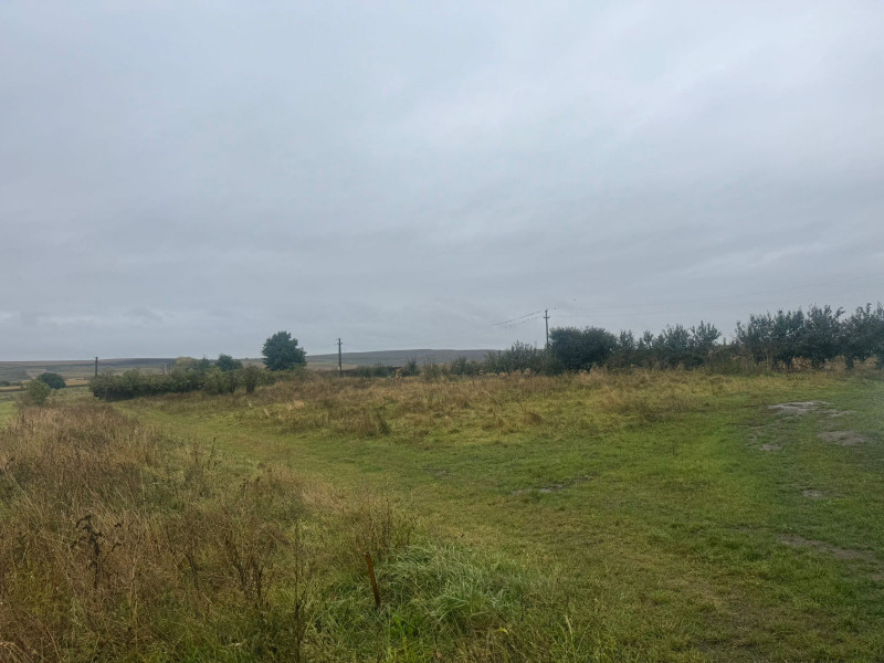 Vanzare 10.000 mp teren Liteni Suceava- la strada -potrivit proiect fonduri