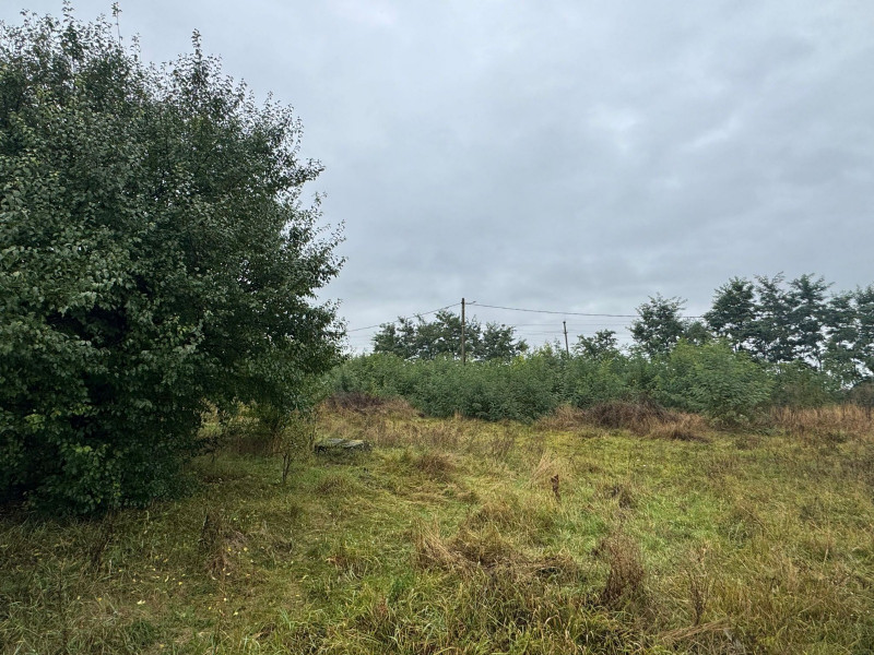 Vanzare 10.000 mp teren Liteni Suceava- la strada -potrivit proiect fonduri