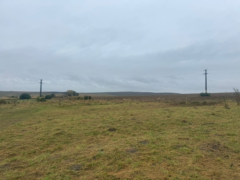 Vanzare 10.000 mp teren Liteni Suceava- la strada -potrivit proiect fonduri