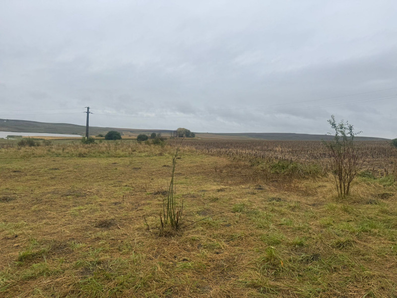 Vanzare 10.000 mp teren Liteni Suceava- la strada -potrivit proiect fonduri